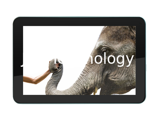 China 9&quot; A31S Quad Core 1.2GHz, Android 4.2, 1GB, 4GB, WiFi, Dual Camera, HDMI supplier